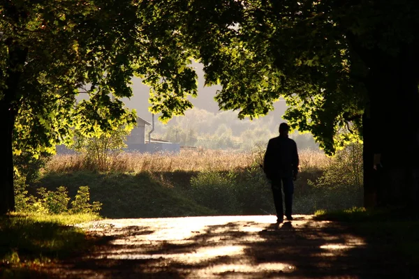 Karanlık bir siluet. Bir yaz günü gölgeli bir akçaağaç sokağında yürüyen bir adam. Temiz havada yürü.