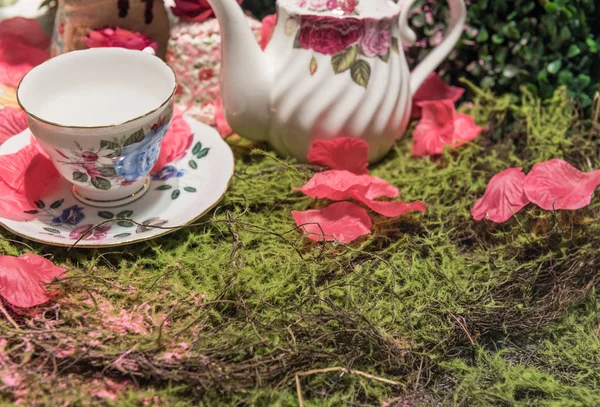 Lujosa escena de fiesta de picnic de té crema con pétalos de flores —  Fotos de Stock