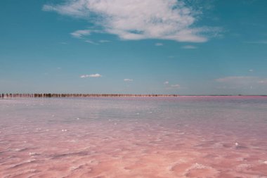 Kırım 'daki pembe tuz manzarası, Ukrayna.