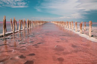 Ukrayna 'da pembe tuz gölü. 