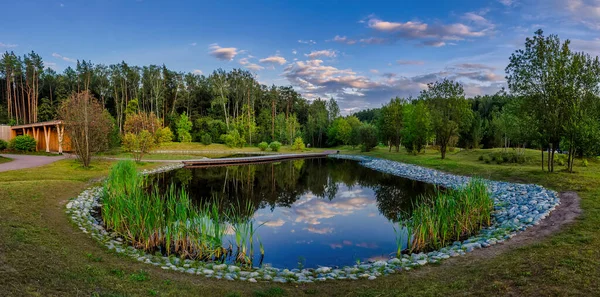 Denní pohled na rybník v městském parku — Stock fotografie