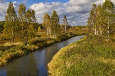 Huş ağaçları, nehir, mavi gökyüzü ve bulutlarla sonbahar manzarası.