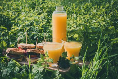 Baharda yeşil çimlerde sandviç ve portakal suyu ile piknik..