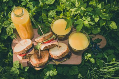 Yaz mevsiminde yeşil çimlerin üzerinde sandviç ve meyve suyu ile pikniğin tepe noktası.