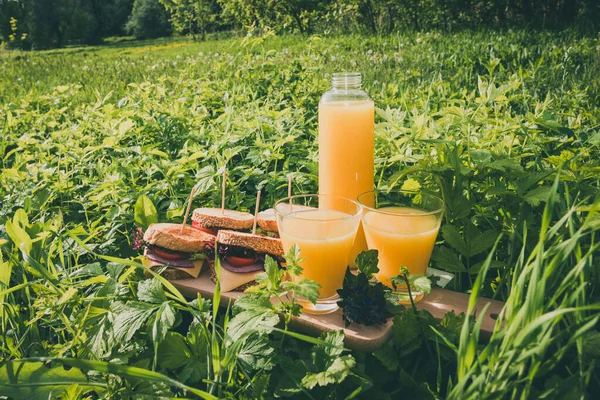 Güneşli bir günde yeşil çimlerde sandviç ve portakal suyu ile yaz pikniği..