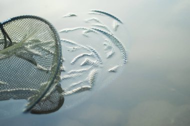 Balıkçı kafesi sakin nehir suyunda yatıyor. Metin için boşluk