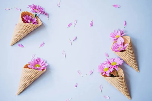 Gerbera daisy flowers in ice cream cups with petals sprinkled around