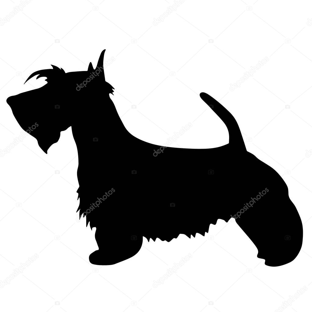 Silhouette of a dog. terrier black illustration