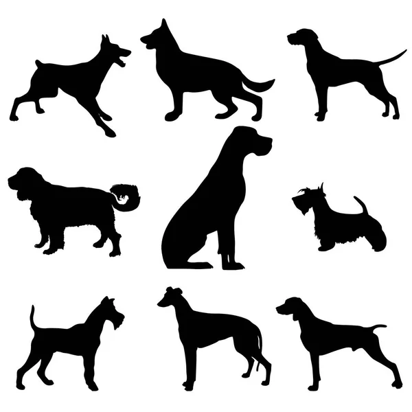 Siyah ve beyaz vektör siluet bir köpek. Clipart.