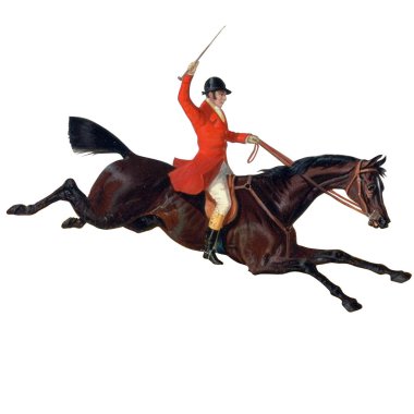 tilki avcısı güzel ata biniyor