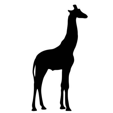 bir zürafa siyah silüeti. vektör çizim