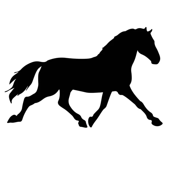 at iyi vektör siluet ve anahat - zarif siyah aygır kadar yetiştirme