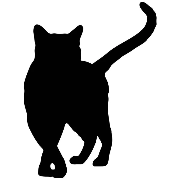 Silhouette Black Cat Vector Pet Illustration — Stock Vector