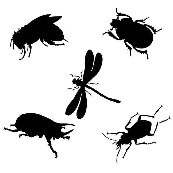 Böcekler siyah vektör çizim seti — Stok Vektör