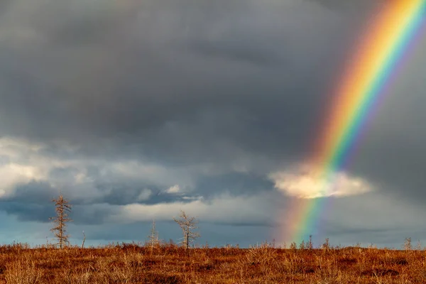 Tundra, Ceptember 30, 2018, Norilsk Dudinka sonbahar gökkuşağı