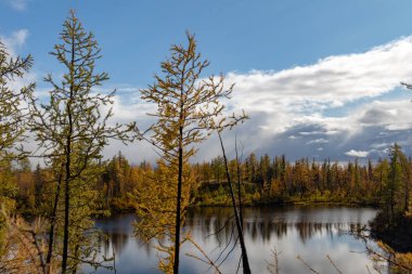 Sibirya Orman Gölü yüzey, 6 Eylül 2018 Norilsk üzerine düşünceler ile renkli sonbahar