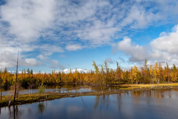 Autumn Colored Siberian Forest Reflections Lake Surface September 2018 Norilsk — Stock Photo, Image