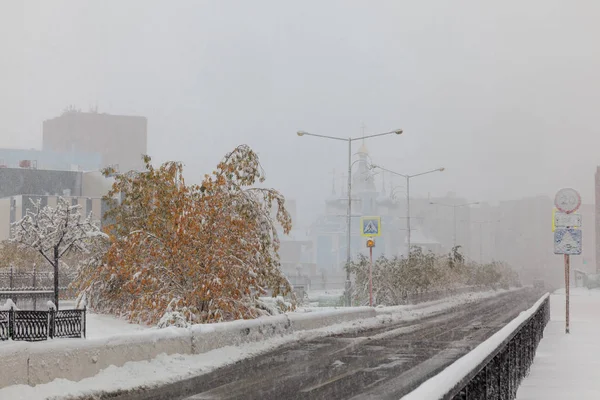 İlk karın altındaki ağaçlar, Norilsk