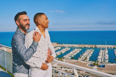 arkalarında deniz ile güneşli bir yaz gününde bir gay çift