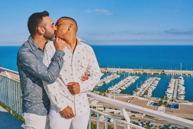 arkalarında deniz ile güneşli bir yaz gününde bir gay çift