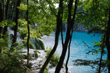 Plitvice doğal parkı, Hırvatistan - Doğa konsepti