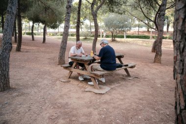 İki emekli adam, ağaçlarla çevrili sakin bir park ortamında piknik masasında domino oynuyorlar.