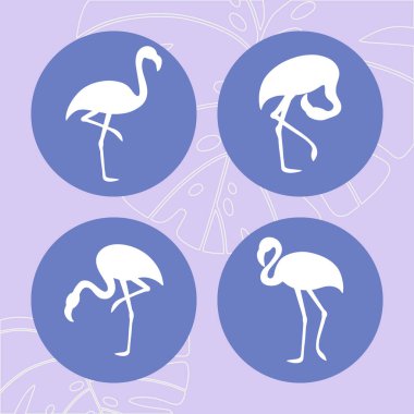 Flamingolar el çizim seti