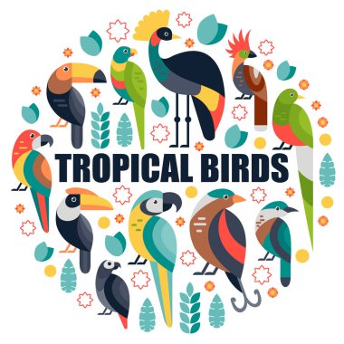 Flat style illustration with Toucan, Blue and Yellow Macaw, Bird of Paradise and other types of birds. Vector set of Tropical birds with flowers and leaves. clipart