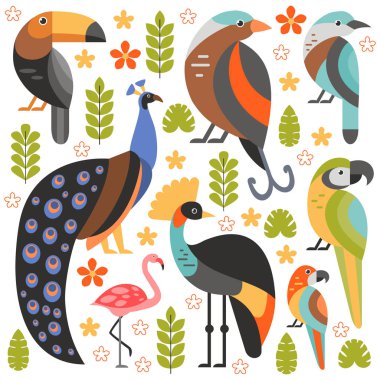 Düz stil illüstrasyon Toucan, tavus kuşu, kuş cenneti, Flamingo ve diğer tip-in kuş. Tropikal kuşlar çiçekleri ve yaprakları ile vektör kümesi.