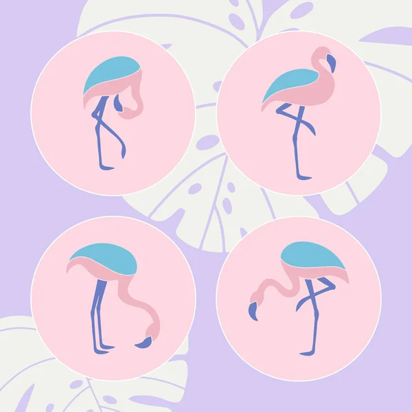 Hand Ritning Uppsättning Flamingos — Stock vektor