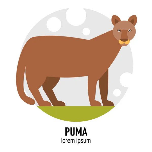 Puma Tier Vektor Flache Abbildung — Stockvektor