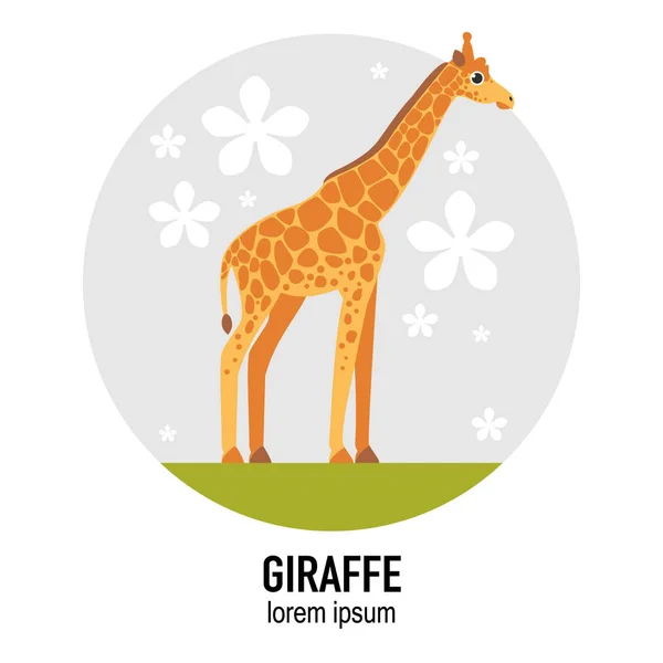 Illustrazione Piatta Vettore Animale Giraffa — Vettoriale Stock
