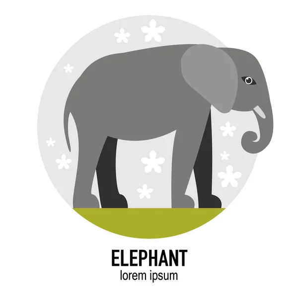 Illustrazione Piatta Del Vettore Animale Elefante — Vettoriale Stock