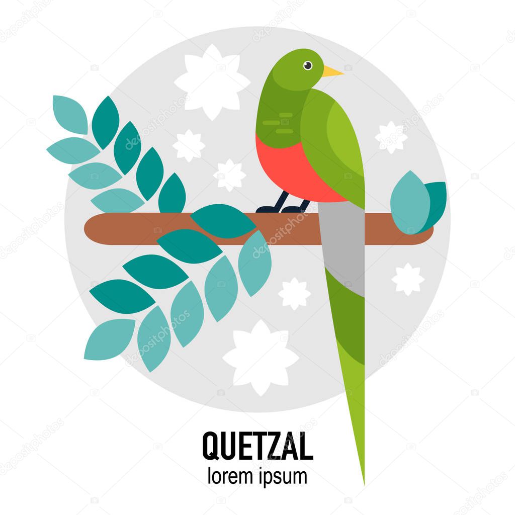 Quetzal bird vector flat illustration with leaves