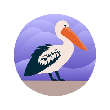 Pelikan düz bir tarzda vektör Illustration. Atlantik seabird. Karikatür tarzı