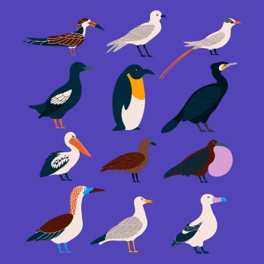 Vektör arka plan üzerinde izole bir düz stilde deniz kuşları kümesi. Atlantik deniz kuşları