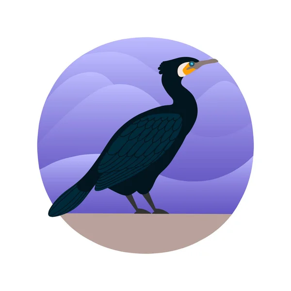 Ilustração Vetorial Pássaro Corvo Marinho Estilo Plano Aves Marinhas Atlântico — Vetor de Stock