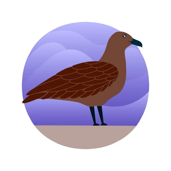 Vector Illustration Skua Flat Style Atlantic Seabird Cartoon Style — Stock Vector