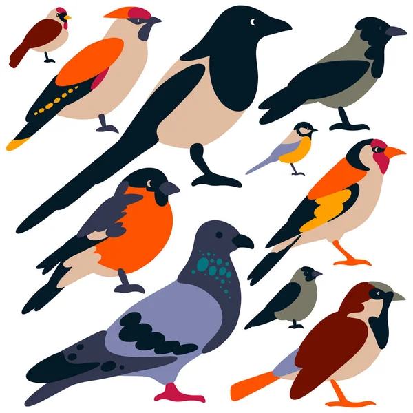 Vögel — Stockvektor