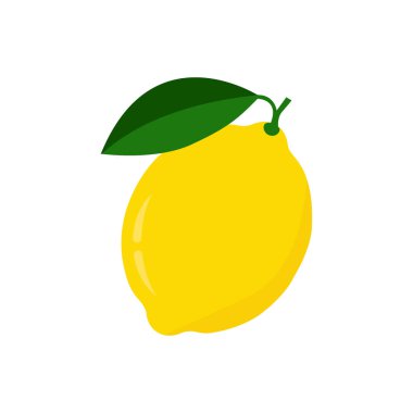 Taze limon meyveleri, vektör çizimleri koleksiyonu