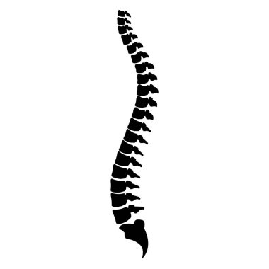 Spine cord vector icon illustration isolated on white background clipart