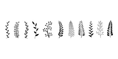 Beyaz arka planda yaprakları ve çiçekleri olan el yapımı ağaç dalları.