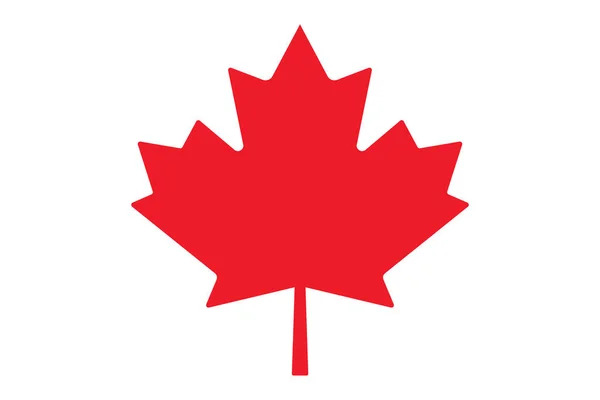 Akçaağaç yaprağı. Beyaz üzerine vektör simgesi