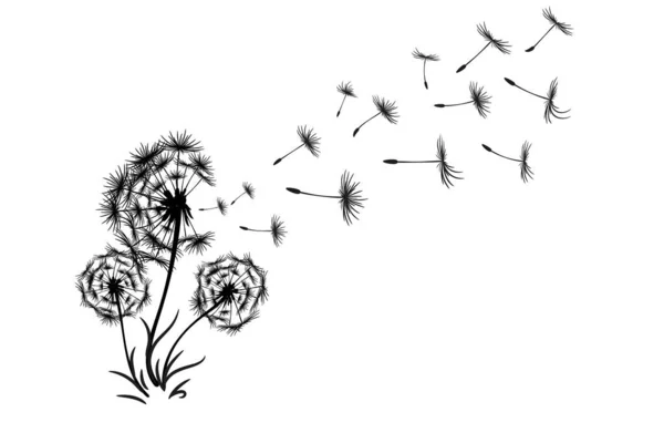 Кульбаба з ілюстрацією літаючого насіння — стоковий вектор