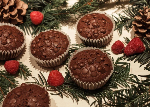 Cinq Cupcakes Aux Pépites Chocolat Papier Quelques Framboises Rouges Parfaites — Photo