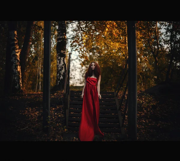 Kırmızı Elbiseli Güzel Kız Sonbahar Orman — Stok fotoğraf