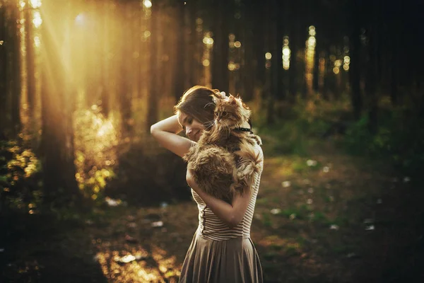Κορίτσι Στο Δάσος Περπάτημα Αγαπημένη Γάτα Της Φορεμα Φύση Ηλιοβασίλεμα — Φωτογραφία Αρχείου