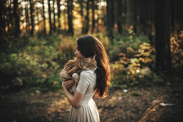 Kız Ormanda Onun Sevgili Kedi Ile Yürüyüş Elbise Doğa Gün — Stok fotoğraf