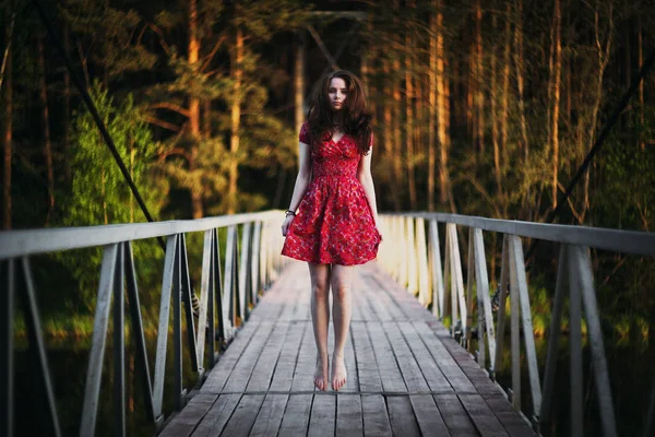 美丽的女孩在一个精致的礼服 秋林中的人行天桥 图库图片
