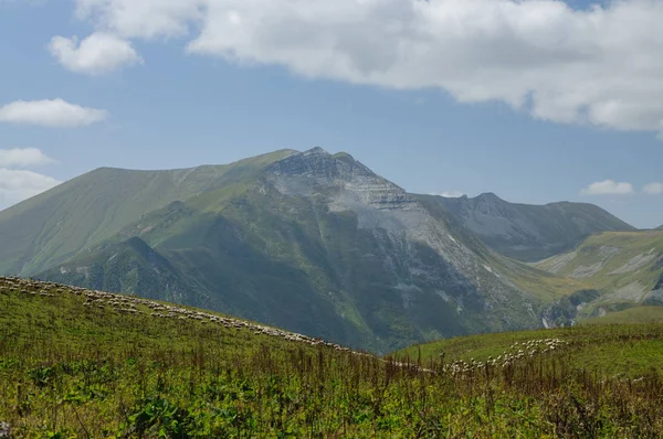 Vue Sur Montagne Géorgie — Photo